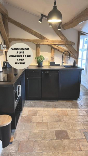 La tour de l Horloge, appt typique à 500m du château